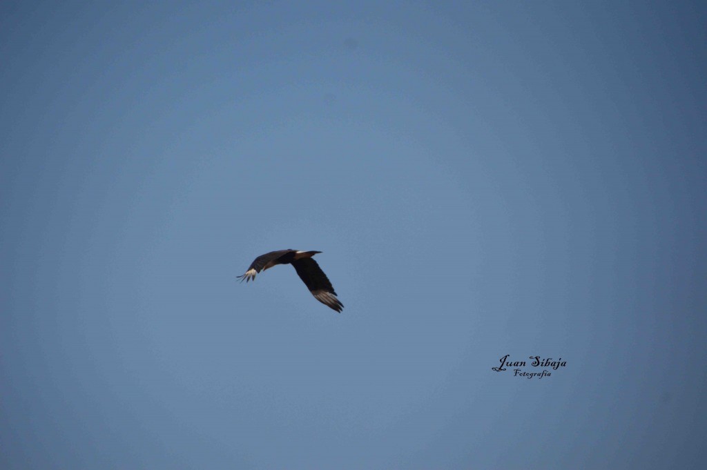 Foto de Guanacaste, Costa Rica