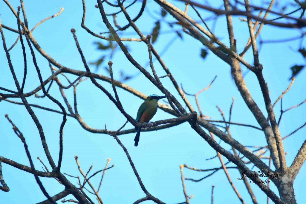 Foto de Guanacaste, Costa Rica