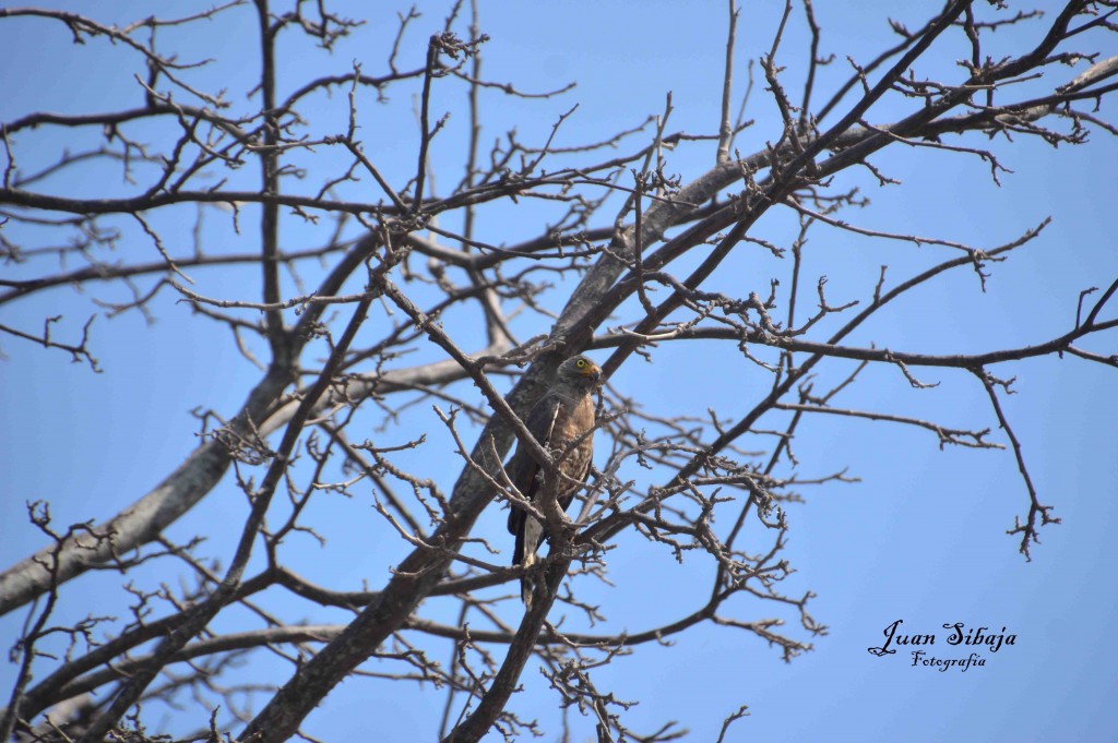 Foto de Guanacaste, Costa Rica
