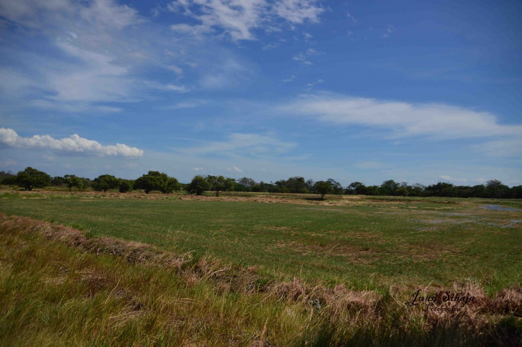 Foto de Guanacaste, Costa Rica