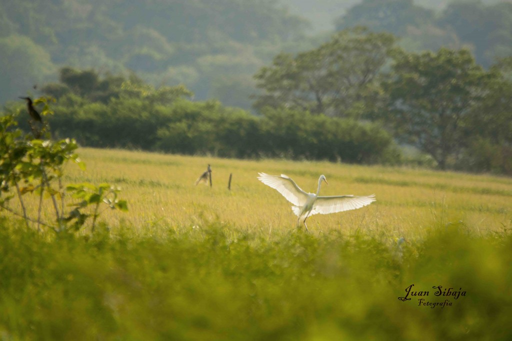 Foto de Guanacaste, Costa Rica