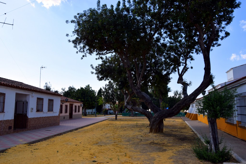 Foto de Marismillas (Sevilla), España