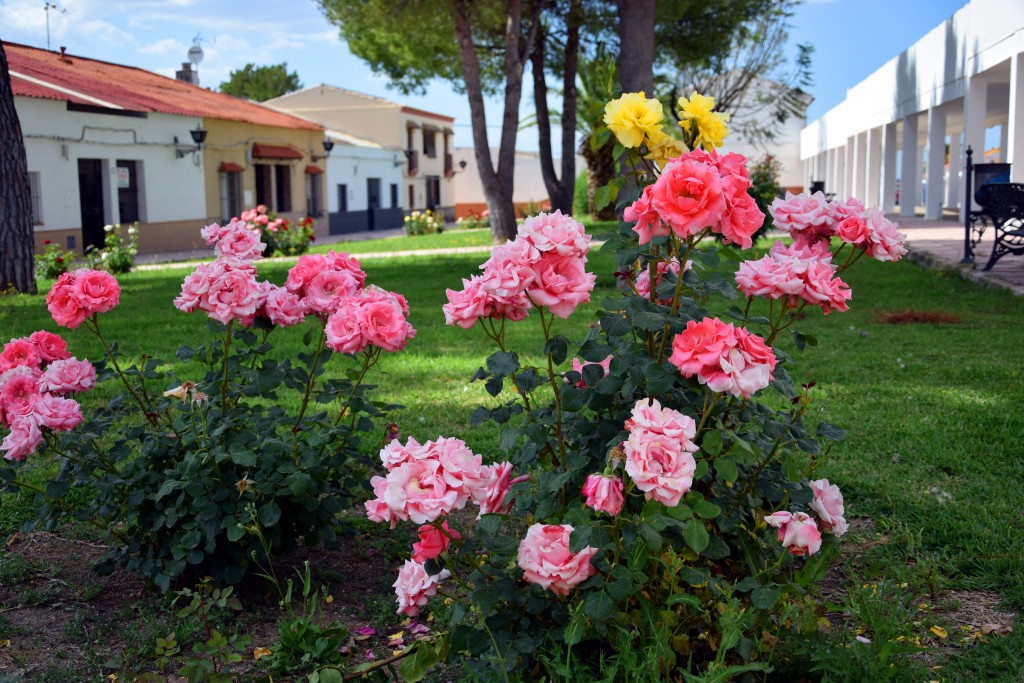 Foto de Marismillas (Sevilla), España