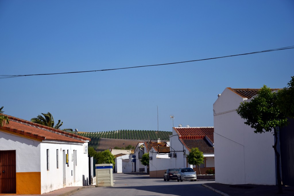 Foto de Marismillas (Sevilla), España