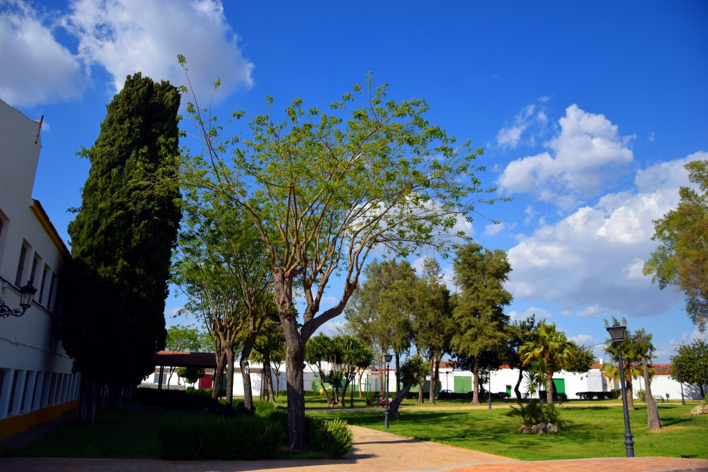 Foto de Marismillas (Sevilla), España