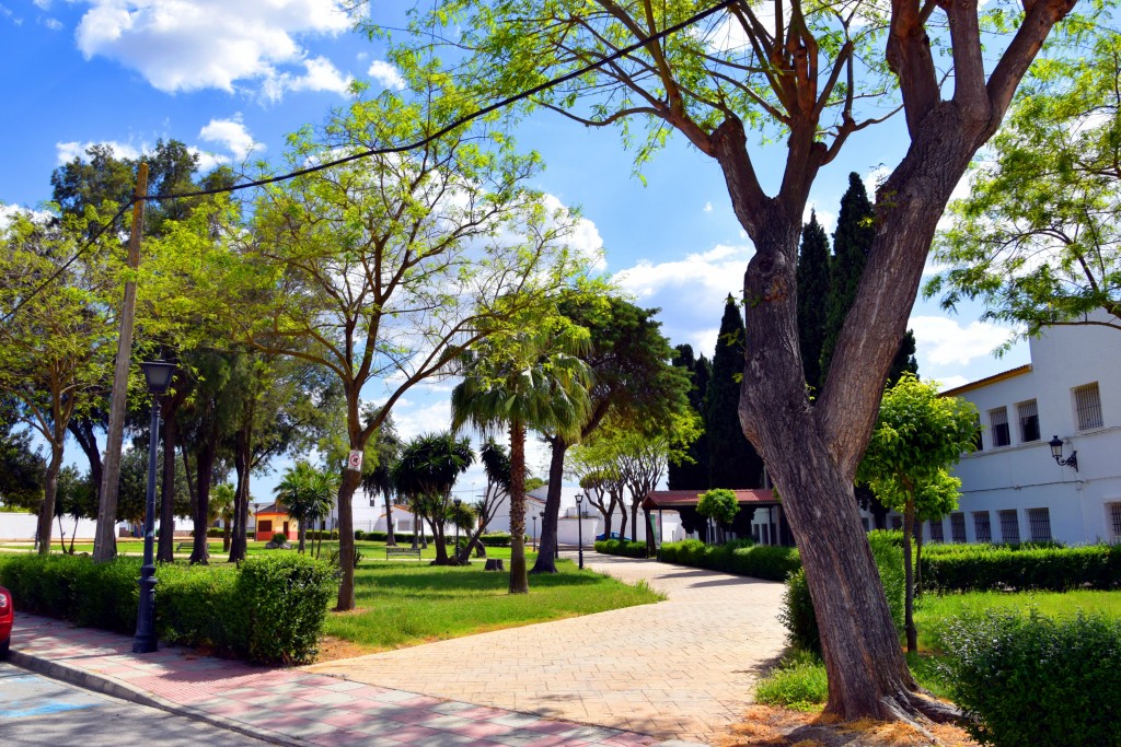 Foto de Marismillas (Sevilla), España