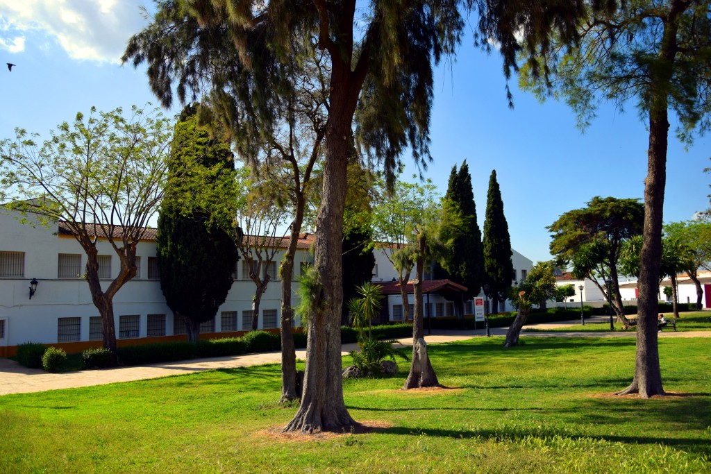 Foto de Marismillas (Sevilla), España