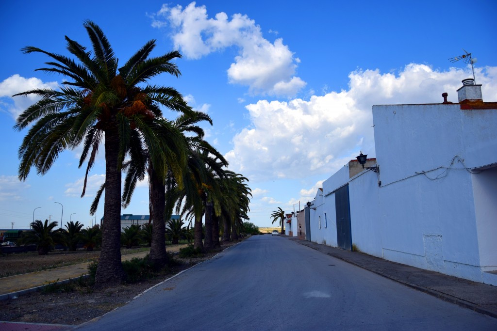 Foto de Marismillas (Sevilla), España