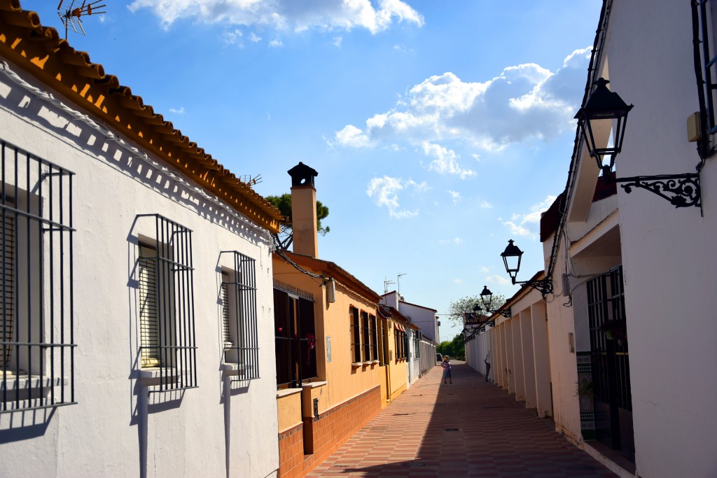 Foto de Marismillas (Sevilla), España