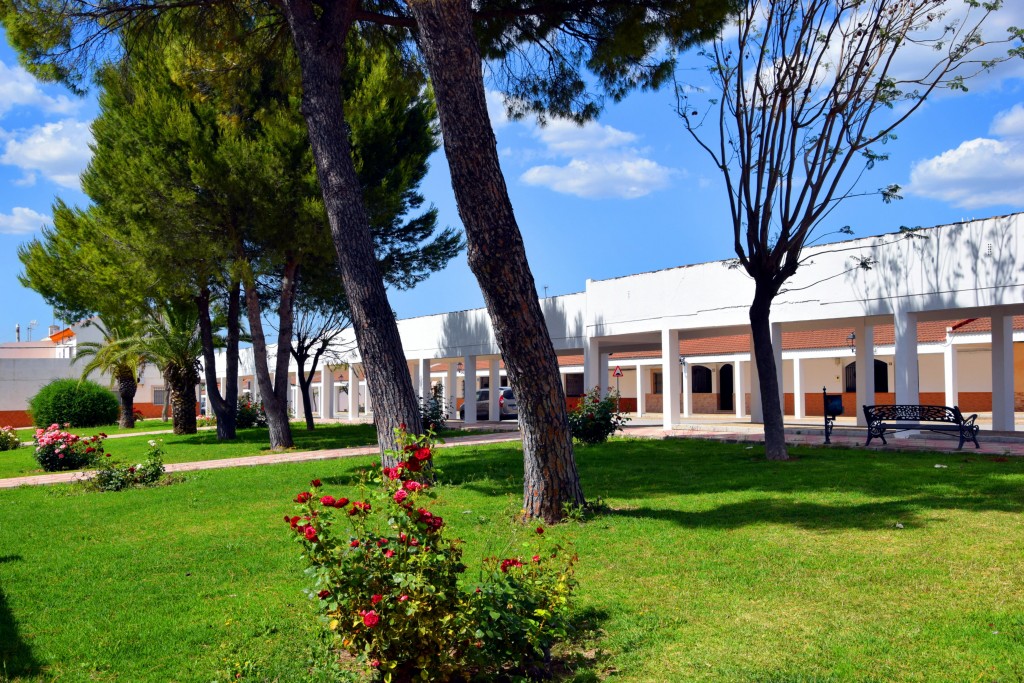 Foto de Marismillas (Sevilla), España