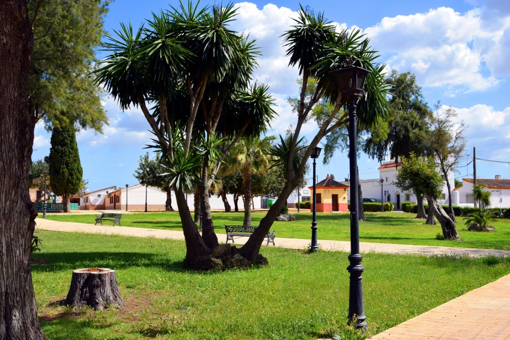 Foto de Marismillas (Sevilla), España