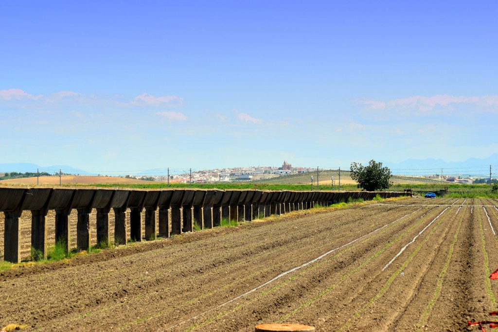 Foto de Marismillas (Sevilla), España