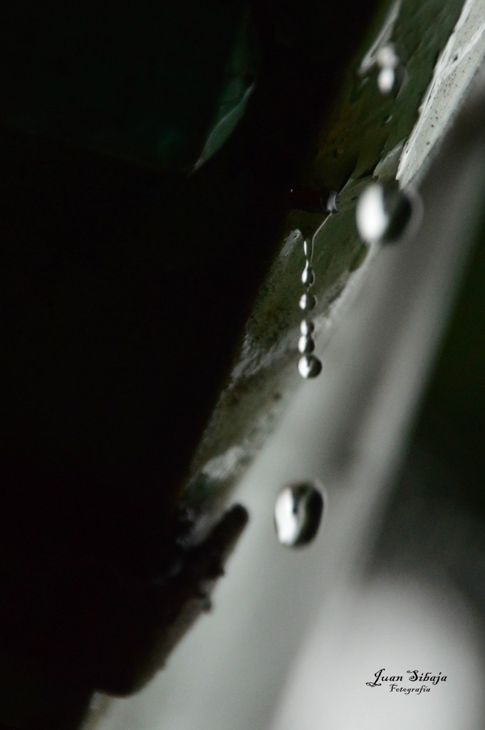 Foto: Gotas de agua - Alajuela, Costa Rica