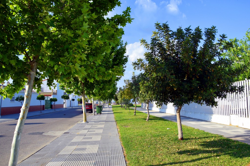 Foto de El Trobal (Sevilla), España