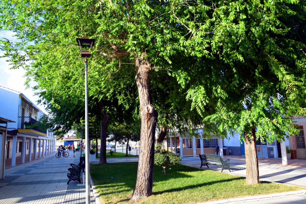 Foto de El Tobal (Sevilla), España