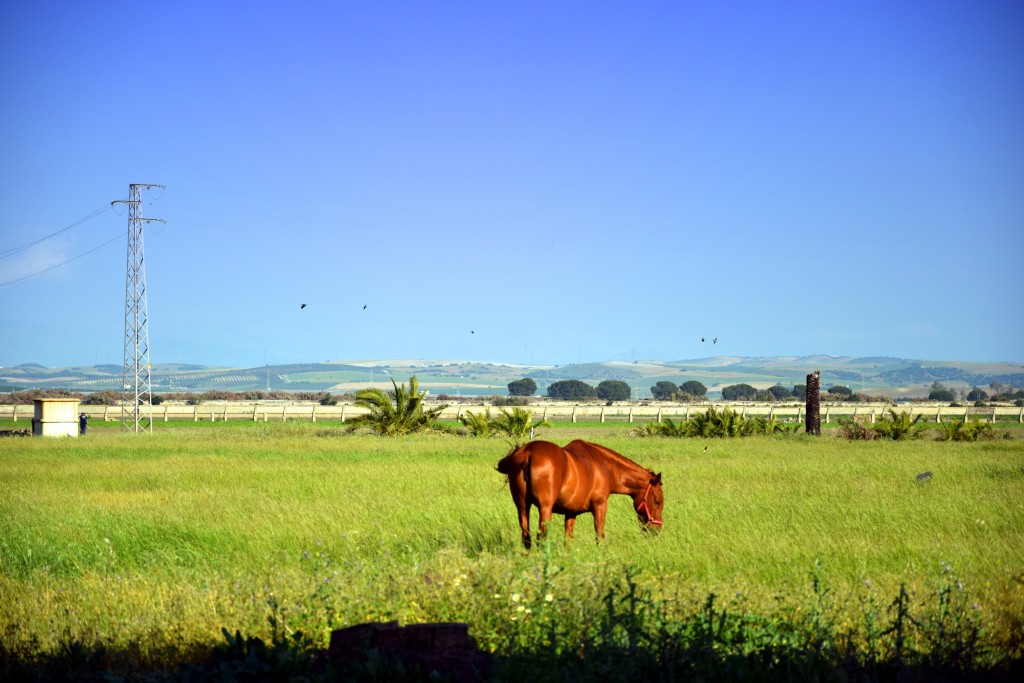 Foto de Vetaherrado (Sevilla), España