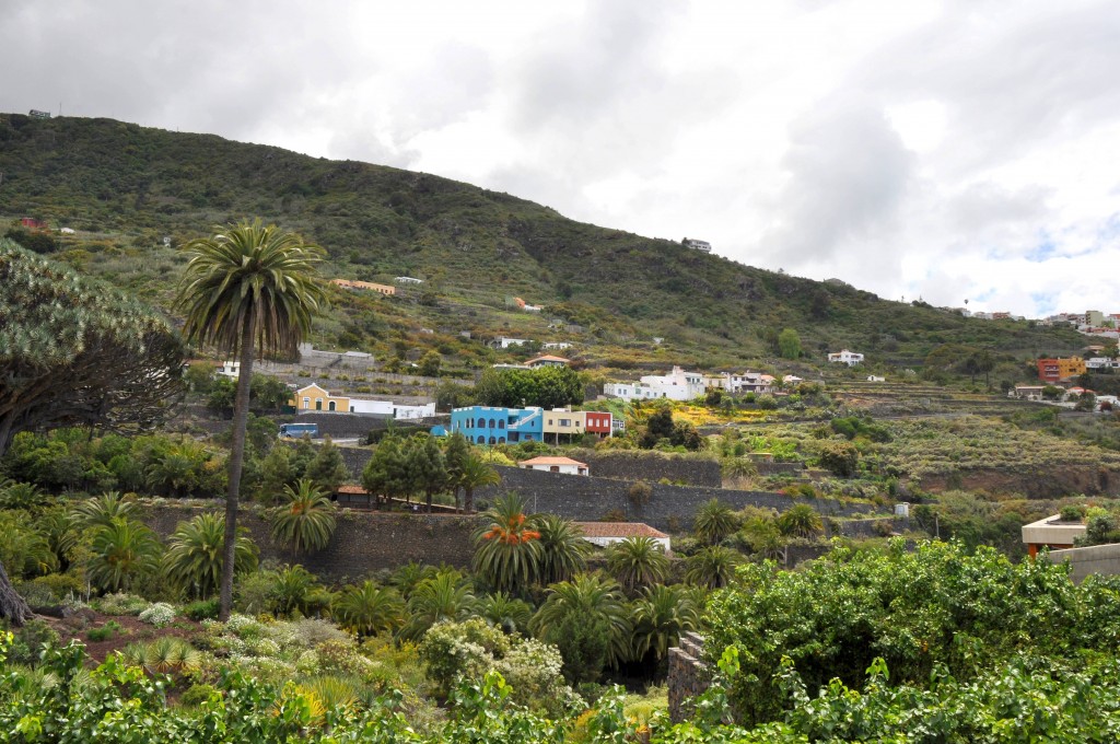 Foto: Vista general - Icod de los vinos (Santa Cruz de Tenerife), España