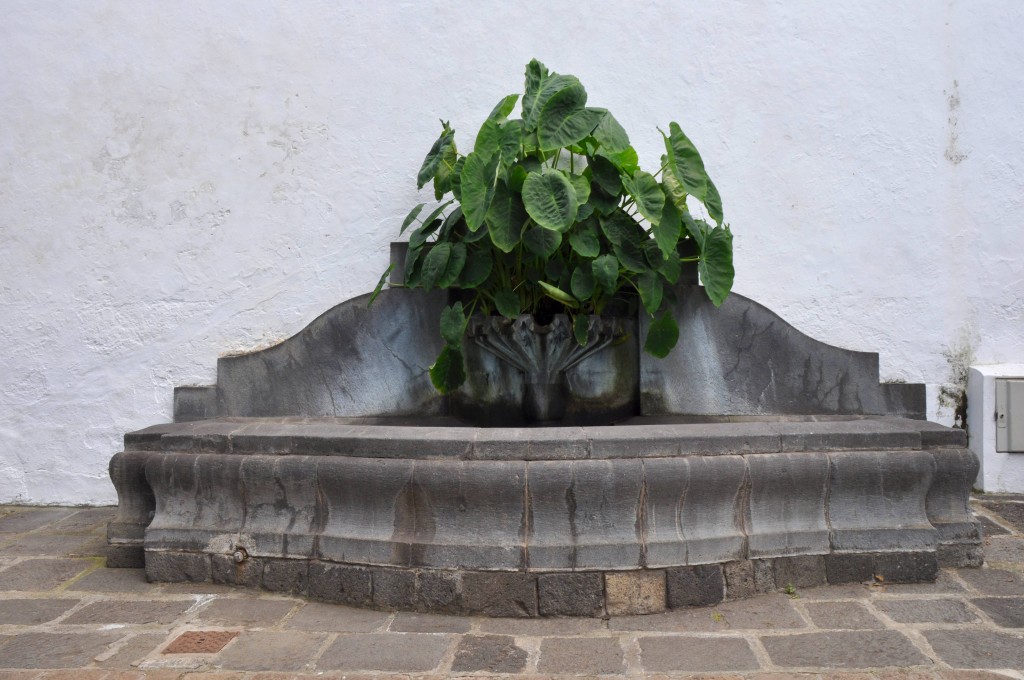 Foto: Fuente - Icod de los vinos (Santa Cruz de Tenerife), España