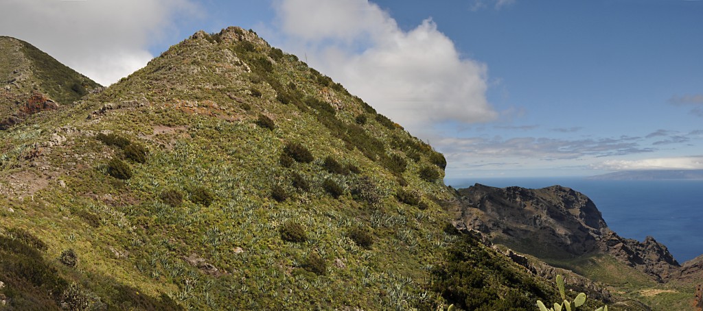 Foto: Vista panoramica - Masca (Santa Cruz de Tenerife), España