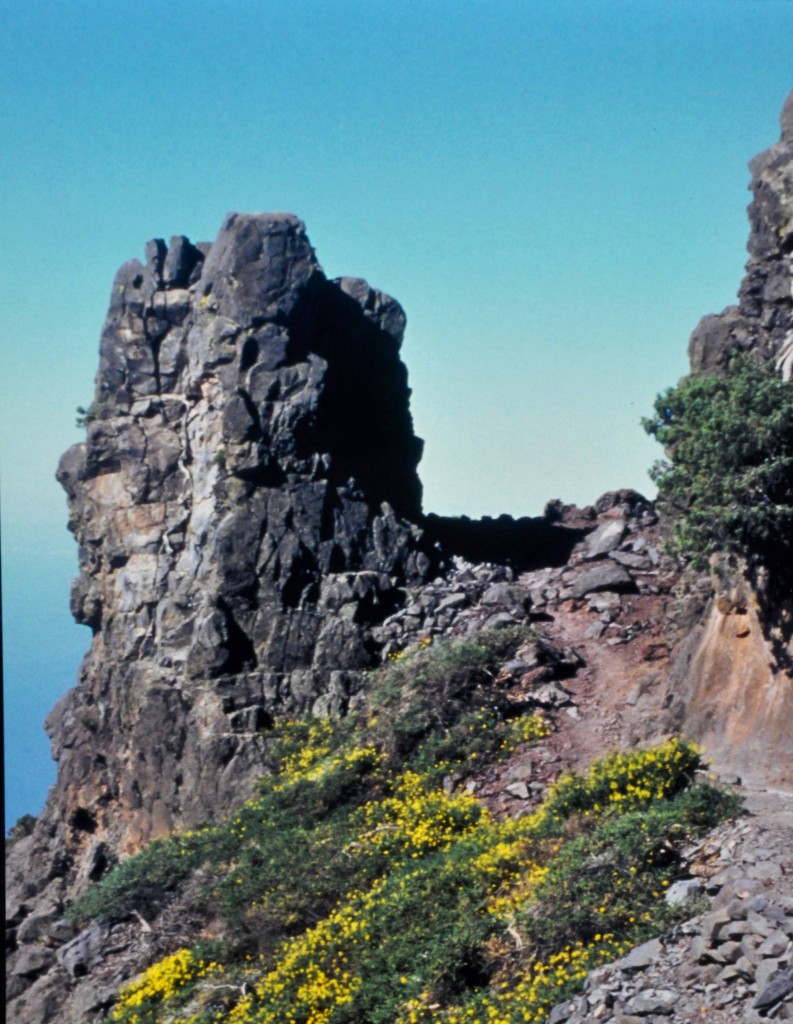 Foto: Formacion de lava - La Palma (Santa Cruz de Tenerife), España