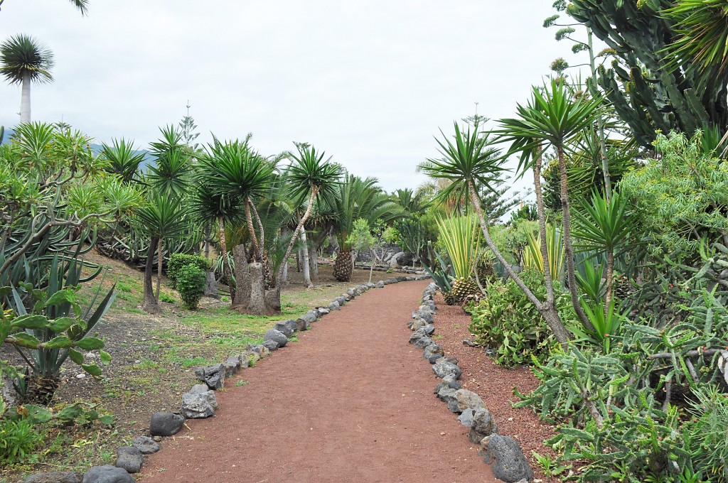 Foto: Acceso a Playa Jardin - Puerto de la Cruz (Santa Cruz de Tenerife), España