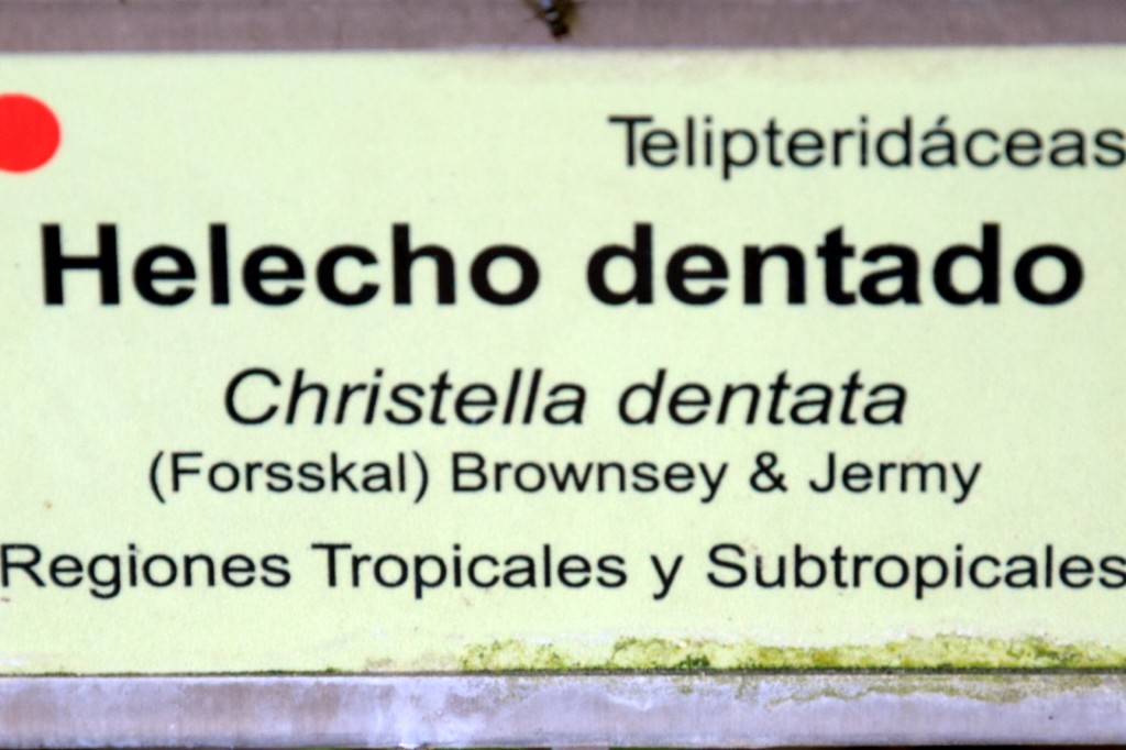 Foto de San Fernando (Cádiz), España