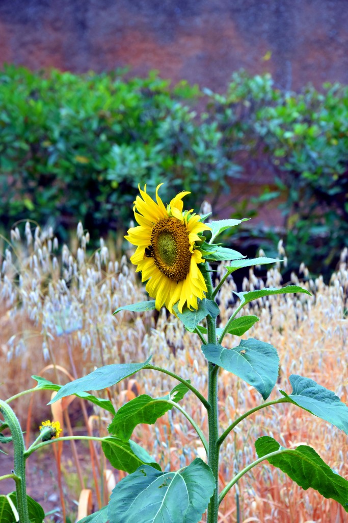 Foto de San Fernando (Cádiz), España