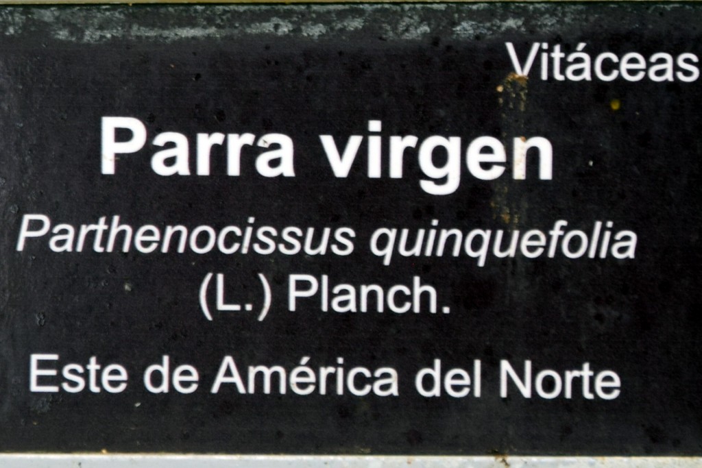 Foto de San Fernando (Cádiz), España