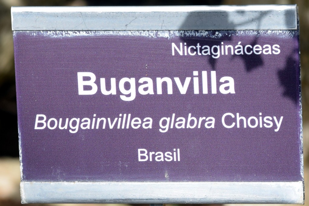 Foto de San Fernando (Cádiz), España