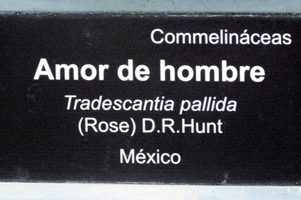 Foto de San Fernando (Cádiz), España