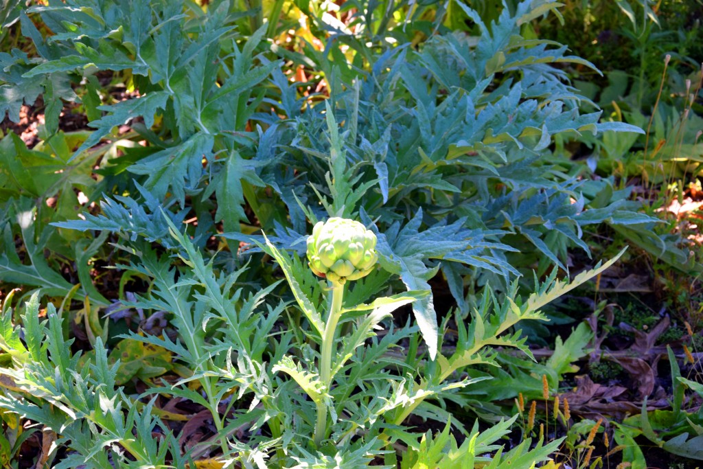 Foto de San Fernando (Cádiz), España