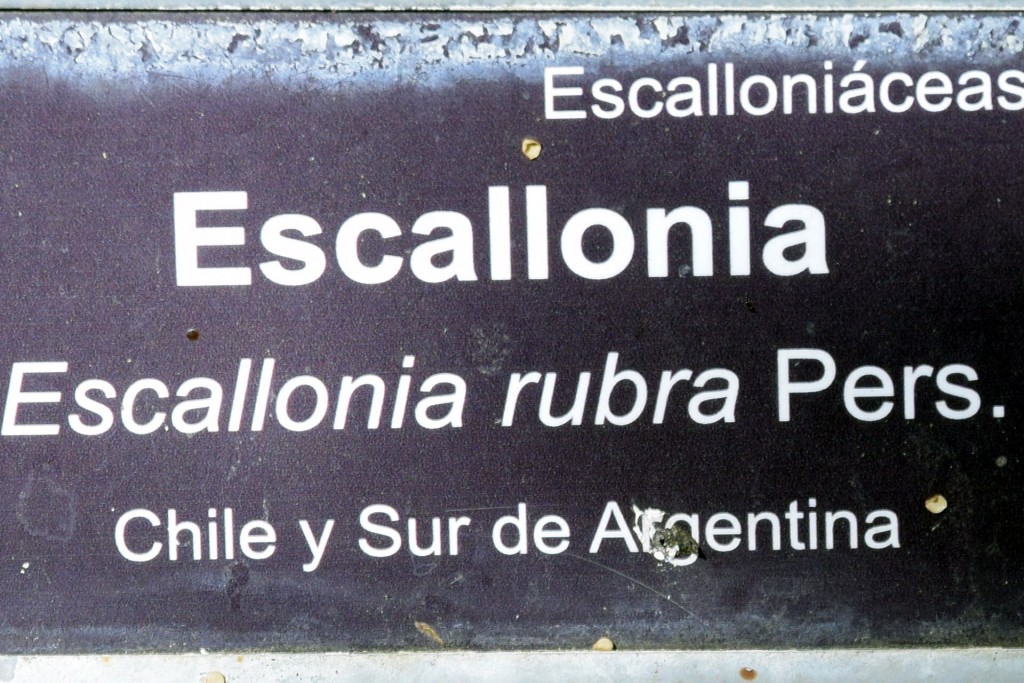 Foto de San Fernando (Cádiz), España