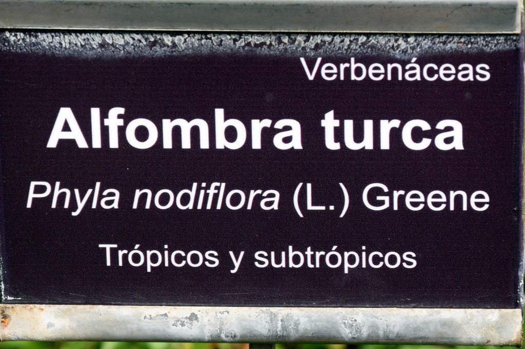 Foto de San Fernando (Cádiz), España