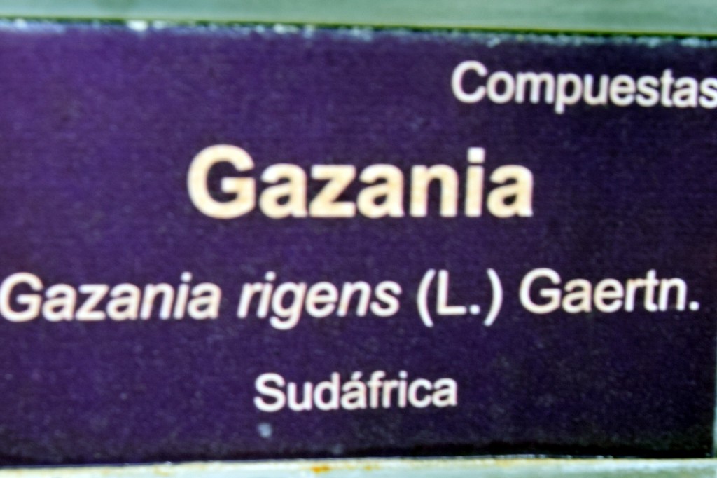 Foto de San Fernando (Cádiz), España