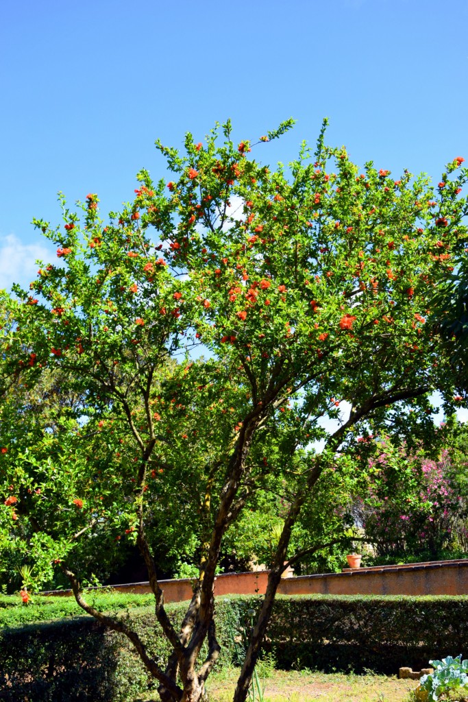 Foto de San Fernando (Cádiz), España