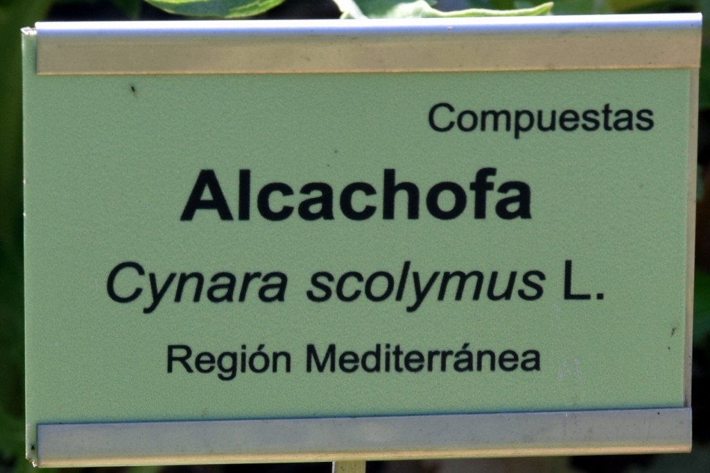 Foto de San Fernando (Cádiz), España