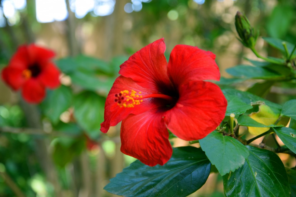 Foto de San Fernando (Cádiz), España