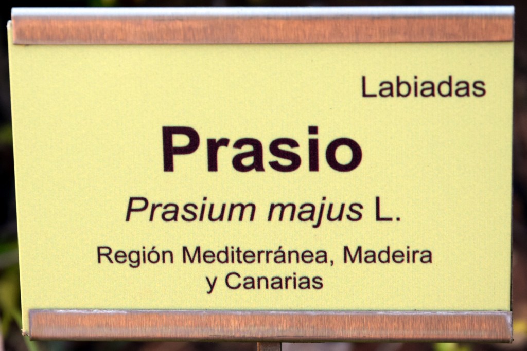 Foto de San Fernando (Cádiz), España