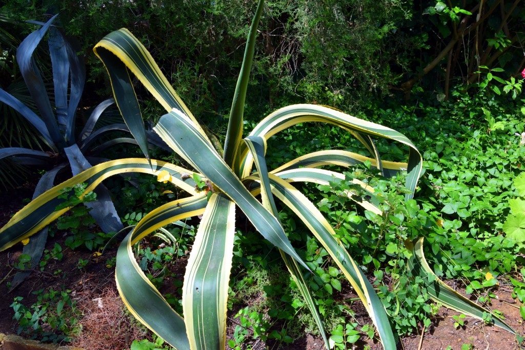 Foto de San Fernando (Cádiz), España
