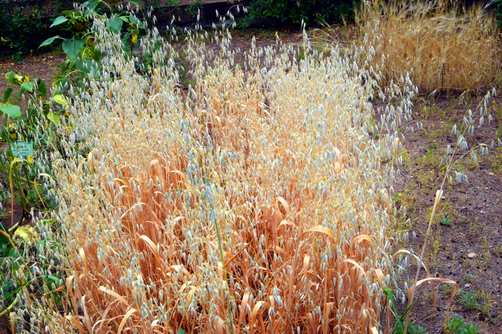 Foto de San Fernando (Cádiz), España