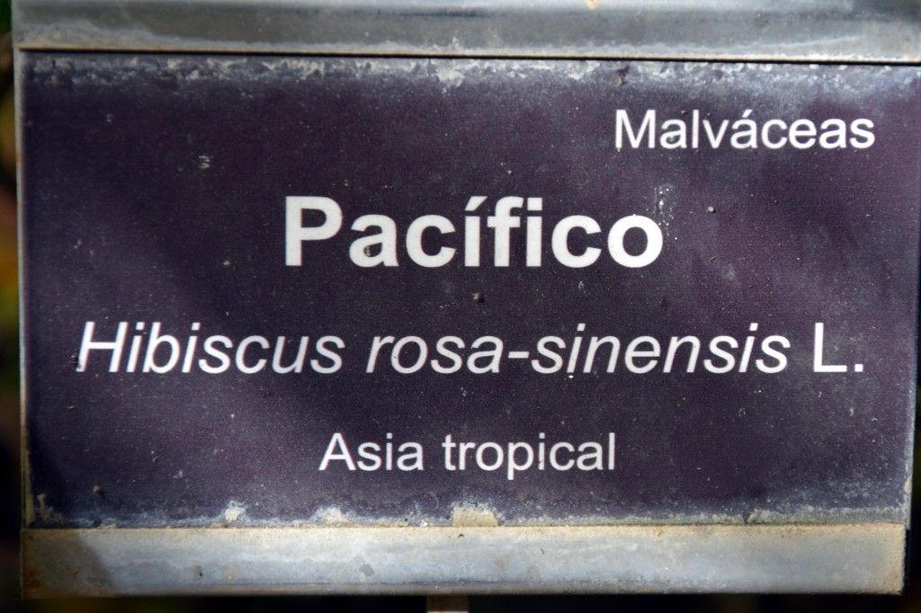 Foto de San Fernando (Cádiz), España