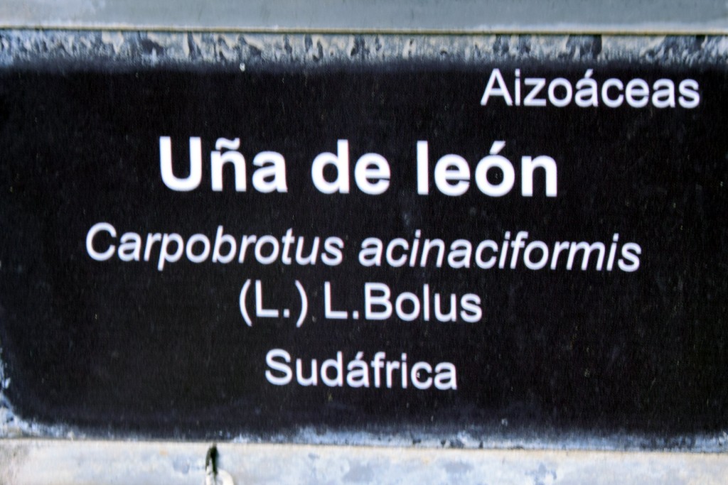 Foto de San Fernando (Cádiz), España