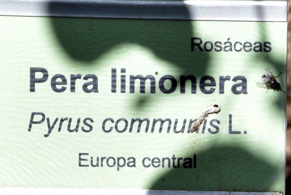 Foto de San Fernando (Cádiz), España