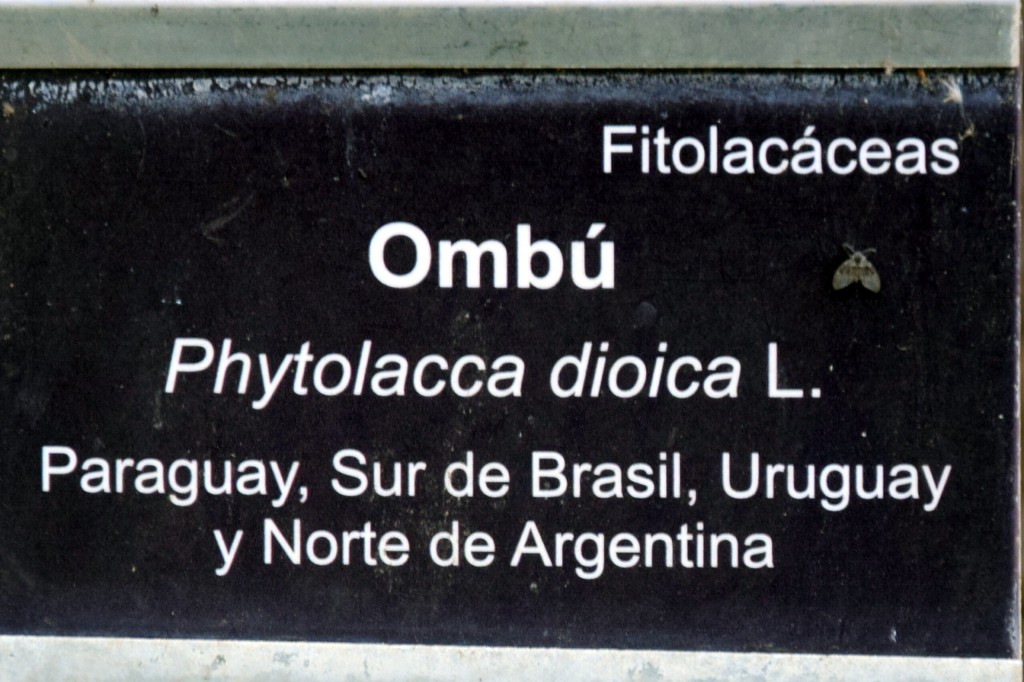 Foto de San Fernando (Cádiz), España