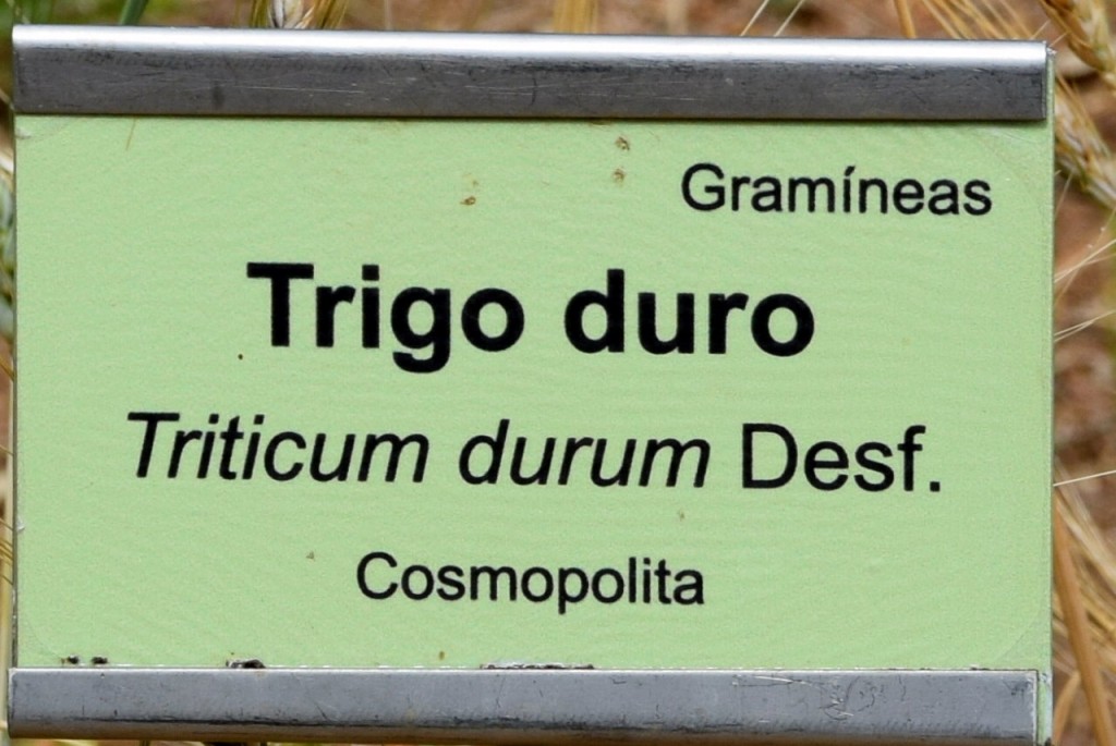 Foto de San Fernando (Cádiz), España