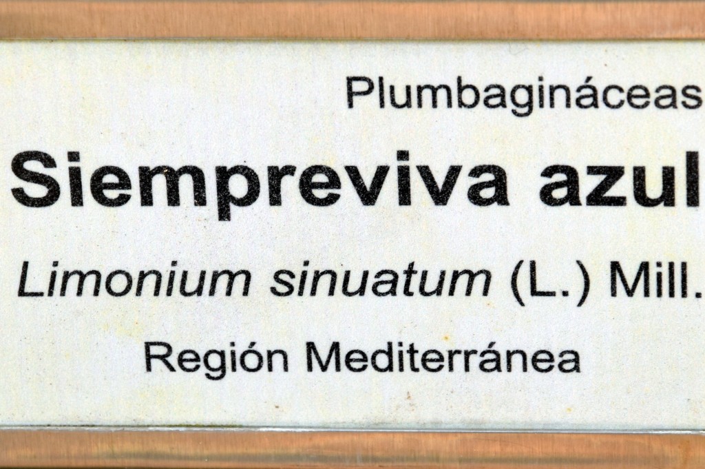 Foto de San Fernando (Cádiz), España