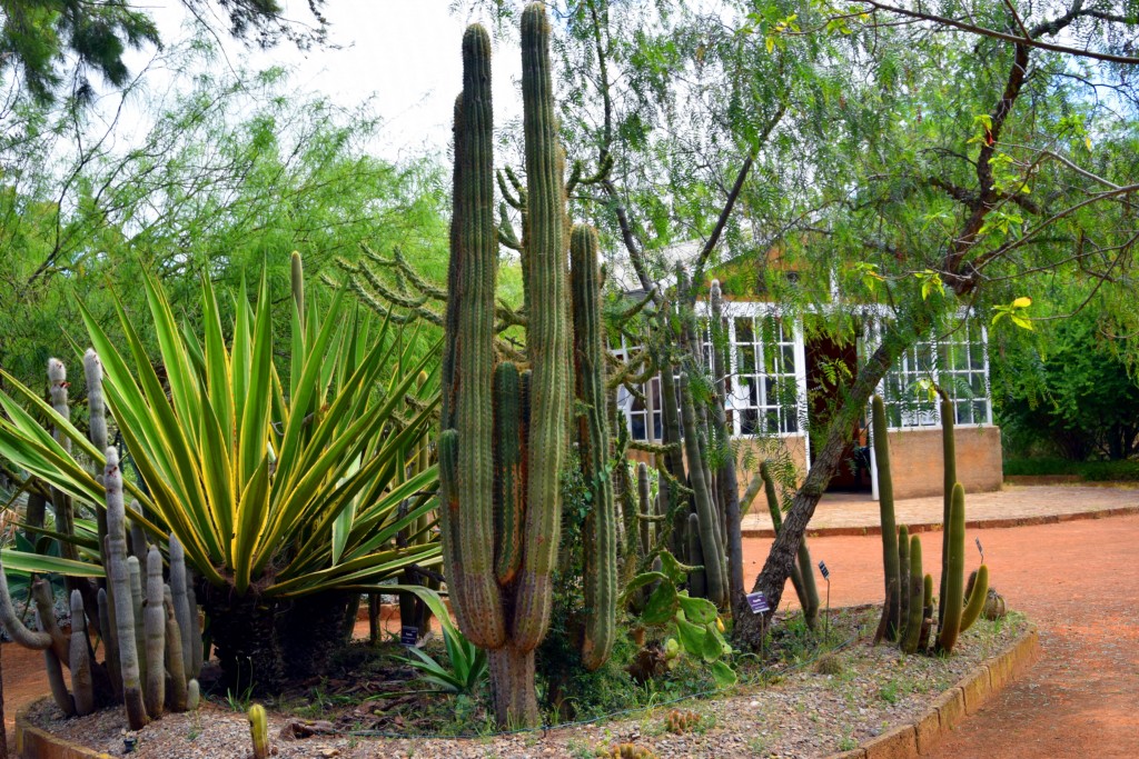 Foto de San Fernando (Cádiz), España