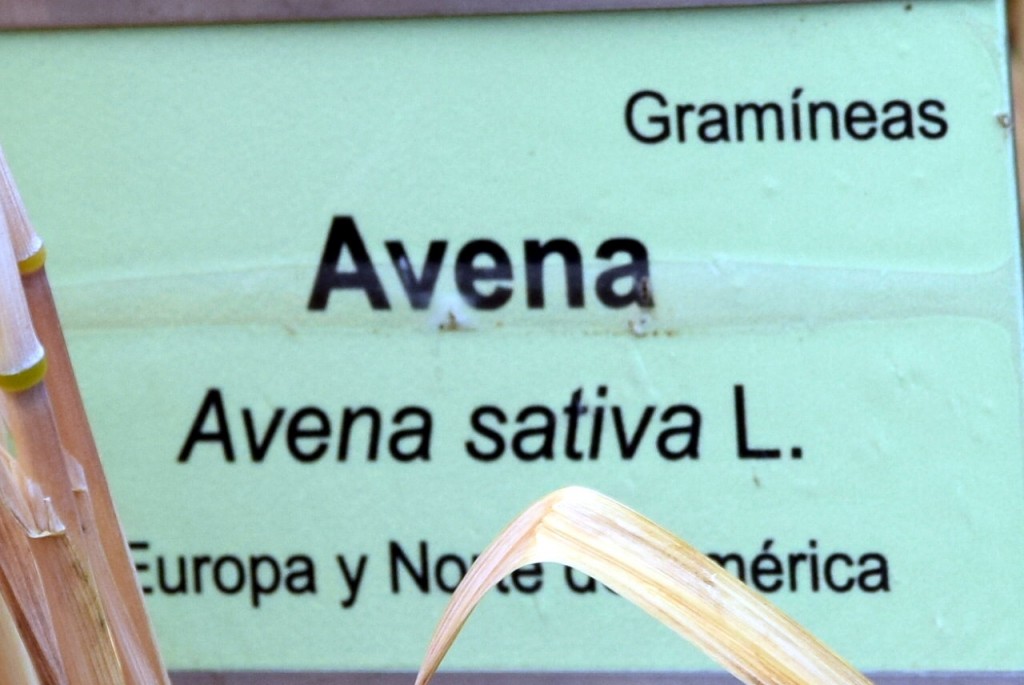 Foto de San Fernando (Cádiz), España