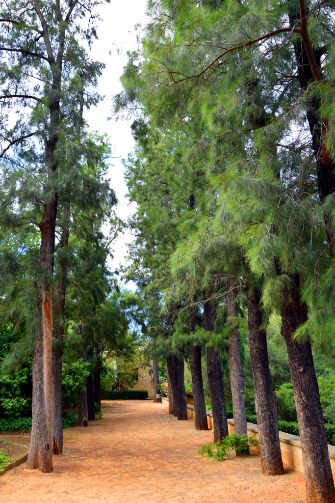 Foto de San Fernando (Cádiz), España