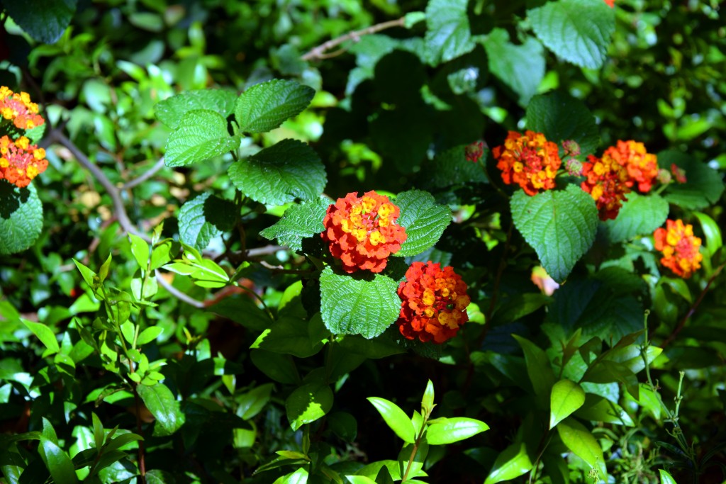 Foto de San Fernando (Cádiz), España